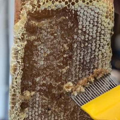 thebalms-honeycomb